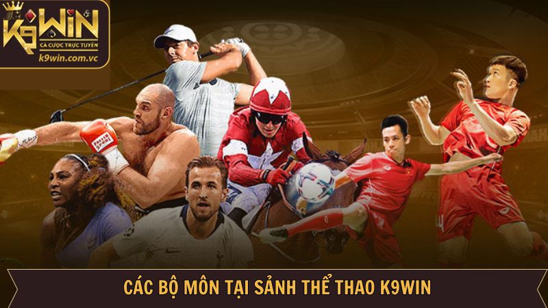Những bộ môn sport nổi bật được cung cấp tại K9WIN
