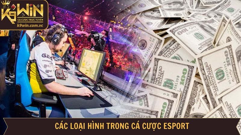 Các kèo cá cược Esport nổi bật tại K9WIN 
