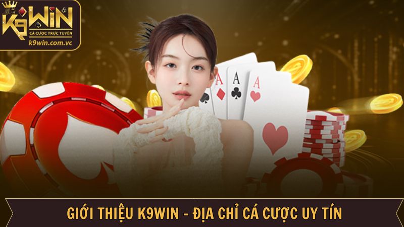 Giới thiệu K9WIN về những thông tin chung