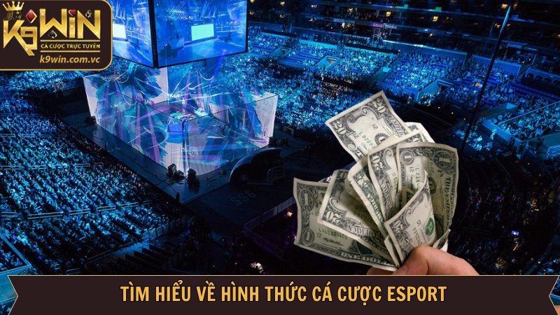 Khái quát về hình thức cá cược thể thao điện tử K9WIN