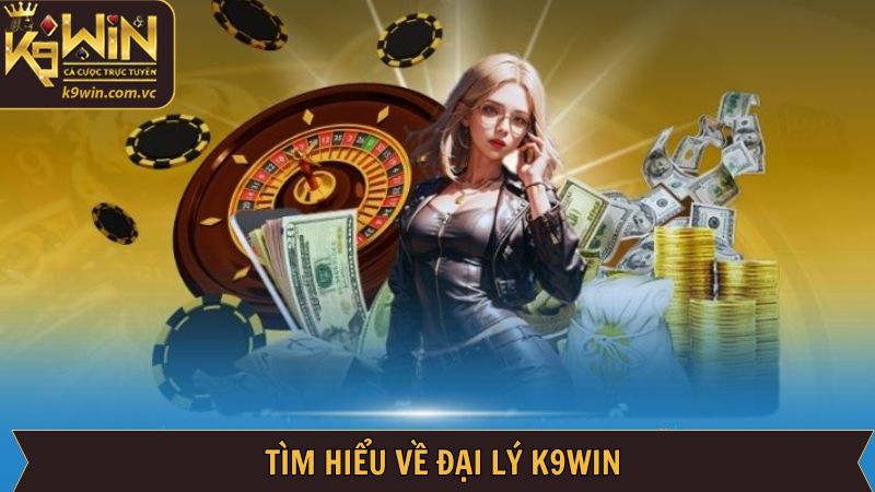 Đôi điều về chính sách hợp tác của nhà cái