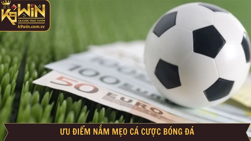 Lợi ích của việc áp dụng kinh nghiệm từ nhà cái